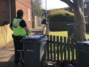 Supporting image for story