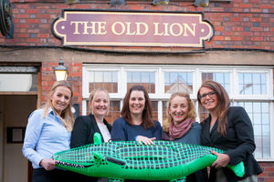 Supporting image for story