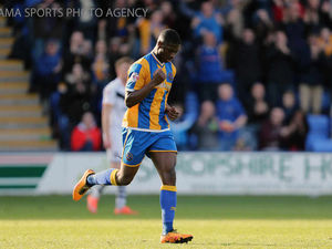 Supporting image for story: Shrewsbury Town top scorer Sullay Kaikai recalled by Crystal Palace