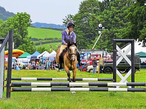 Supporting image for story: Guilsfield show a big success