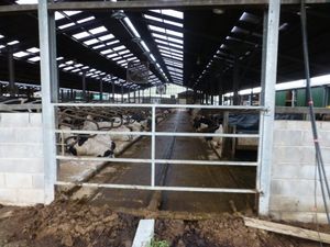 T.N. Beeston and Son was fined  