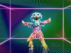 Supporting image for story: Odd Socks and Sea Slug unmasked on The Masked Dancer