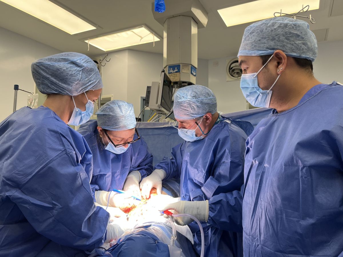 Deceased donor womb transplants give hope to couples wanting children