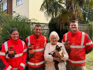 Supporting image for story: Fire station's mysterious cat burglar in a West Midlands market town turns out to be... a cat