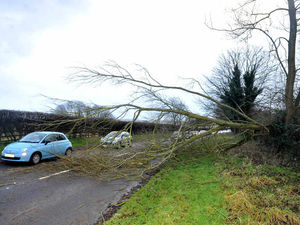 Supporting image for story: Major rail disruption after fierce winds batter the West Midlands