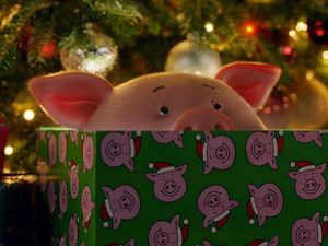 Supporting image for story: M&S casts Tom Holland as Percy Pig for bumper Christmas campaign