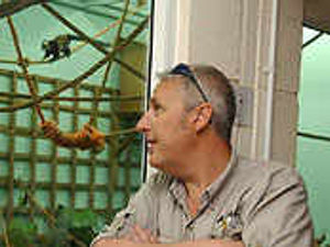 Supporting image for story: College zoo is meerkat's whiskers!