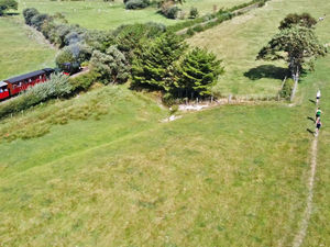 Supporting image for story: Race the train returns to the running schedule on the Talyllyn Railway