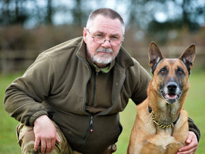 Supporting image for story: Man’s best friend just loves to work: What it's like to train dogs