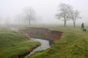 Supporting image for story: Countryside? May as well try and enjoy it while it lasts