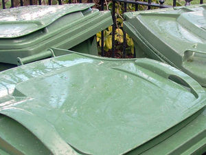 Supporting image for story: Star comment: Are bin police rubbish or required?