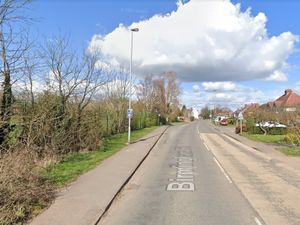 Supporting image for story: Fallen tree causing 'disruption' on Birmingham Road, Shenstone