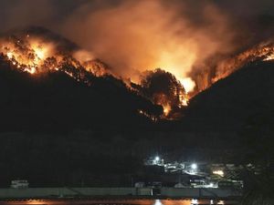 Supporting image for story: More than 1,200 evacuated as Japan forest fire continues to burn