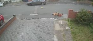 CCTV footage showed the boy being attacked by the dog outside his home in Walsall