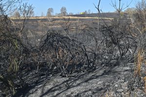 Damage left behind at Gentleshaw Common following the fire
