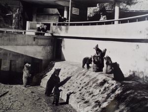 The Bear Ravine in 1937 attracted both lovers of animal and architecture. Photo: Dudley Zoo and Castle