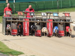 Supporting image for story: Monmore Green offers free entry to families