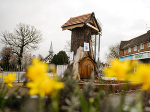 Supporting image for story: Hope for fairytale ending after landmark tree becomes 'dangerous' and is chopped down