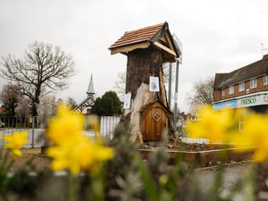 Supporting image for story: Hope for fairytale ending after landmark tree becomes 'dangerous' and is chopped down