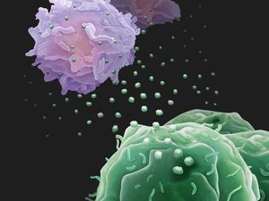 Supporting image for story: Cancer cells do battle with ‘armed drones’