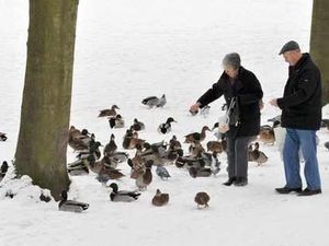 Supporting image for story: West Midlands in grip of an Arctic blast