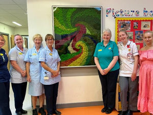 Supporting image for story: 'Little Warrior' artwork - inspired by children's bravery in treatment - donated to Telford hospital's paediatric cancer ward