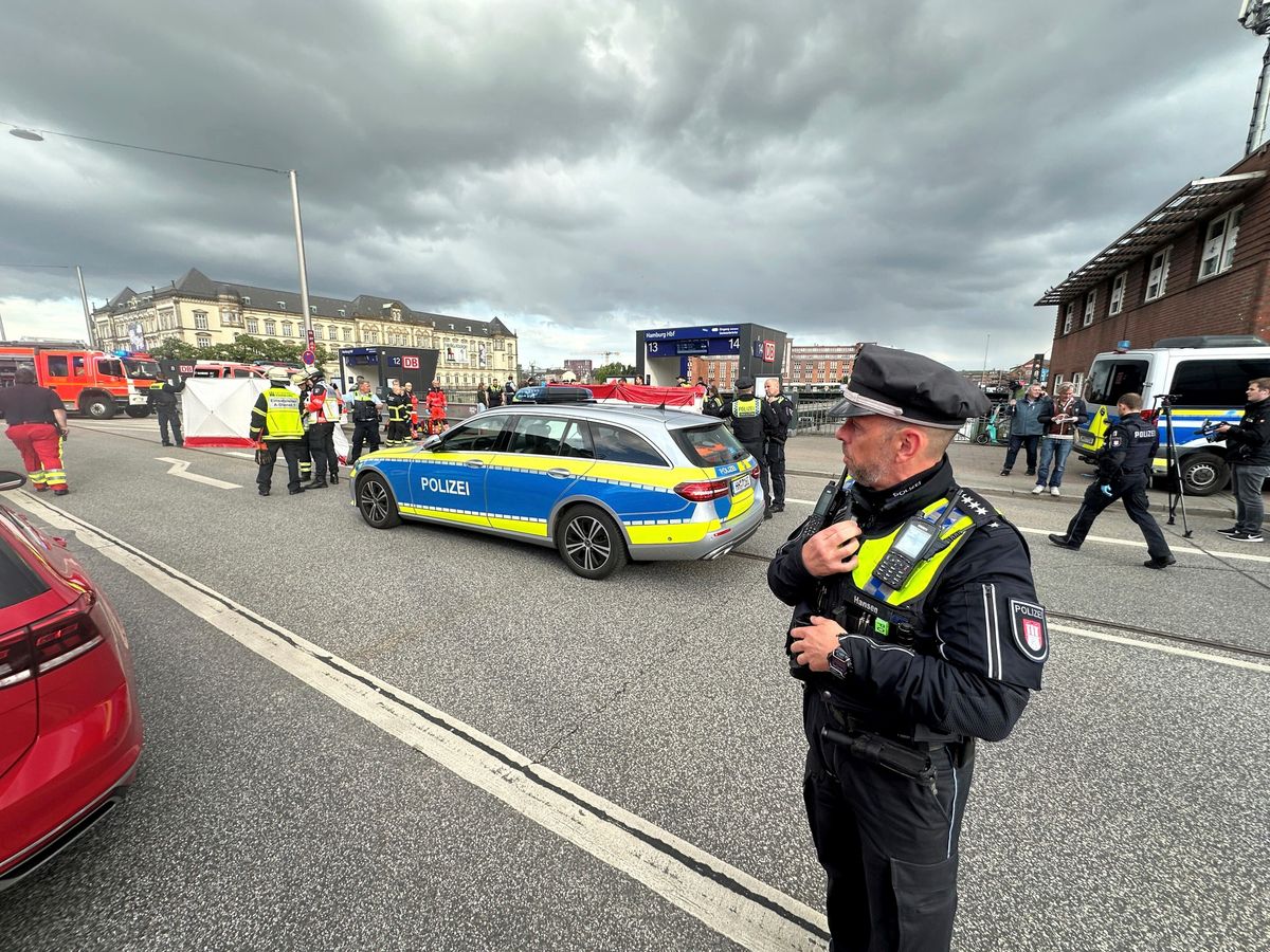 12 people injured in stabbing at Hamburg train station