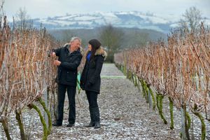 Geoff and Nadine check on the vines at the site in Pentreheyling near Montgomery