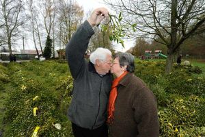 Supporting image for story: Mistletoe event starts with a kiss