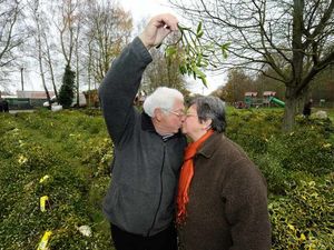 Supporting image for story: Mistletoe event starts with a kiss