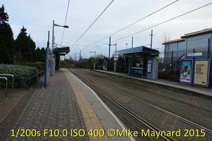 This was the first picture that I took