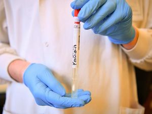 Supporting image for story: Midlands MPs back 'local lockdown' measure if coronavirus cases surge