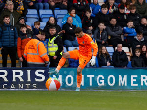 Supporting image for story: Shrewsbury stopper Marko Marosi closing in on clean sheet record
