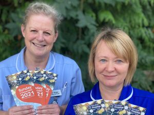 Supporting image for story: Hospice Christmas service to remain online