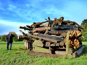 Supporting image for story: Weston Park ready for annual Bonfire Night extravaganza