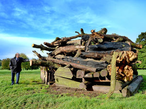 Supporting image for story: Weston Park ready for annual Bonfire Night extravaganza