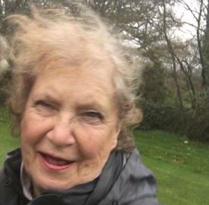 Supporting image for story