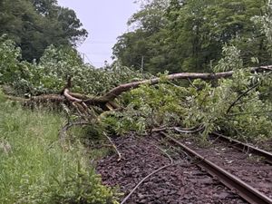 Supporting image for story: Disruption on West Coast Main Line after tree fall causes ‘significant damage’