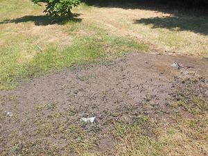 Supporting image for story: Music festival goes ahead after blocked sewer cleared with just days to spare