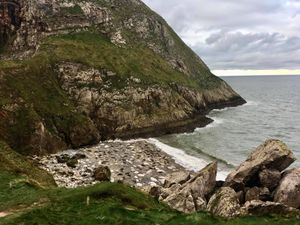 Supporting image for story: Holidaymakers urged to leave coastal wildlife alone as they flock to Wales for Easter