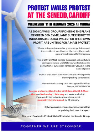 Opponents of giant wind farms determined to make their voices heard at protest outside the Senedd