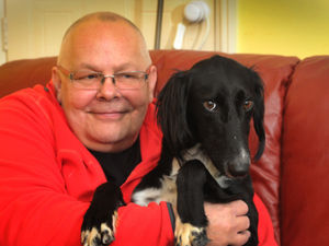 Supporting image for story: Lurchers thrown onto road