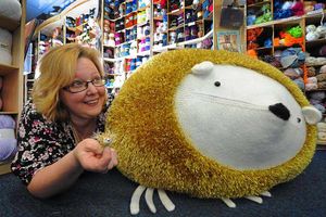 Supporting image for story: Hidden hedgehogs in Wolverhampton event