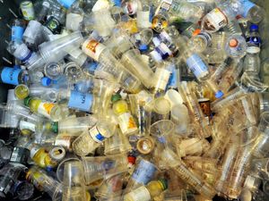 Supporting image for story: Wrong recycling will be rejected warning