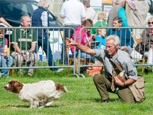 Supporting image for story: Annual show organisers cancel event for second year
