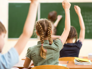 Supporting image for story: Council defends decision to close 18-pupil Pontfadog school