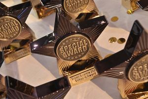 The Ercall Sparkle event recognised the achievements of pupils.
