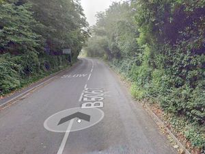 Supporting image for story: Firefighters scrambled to Coton Hill hedgerow blaze