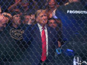 Supporting image for story: Donald Trump joins TikTok and calls it ‘an honour’