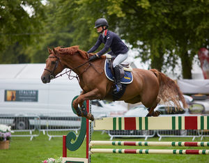 Visitors will be able to watch showjumping in the arena